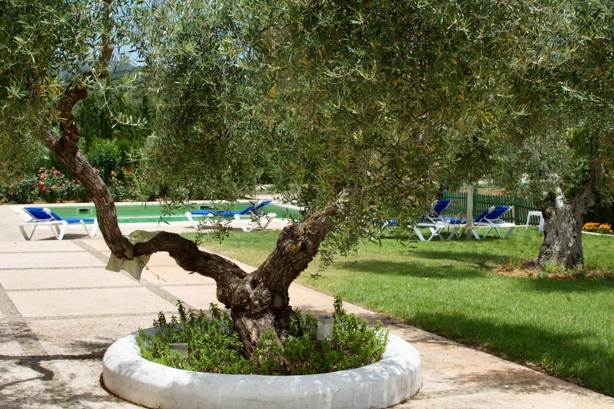 El Carmen Villa Ronda